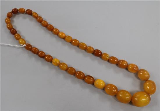 A single strand graduated amber bead necklace, gross weight 68 grams, 56cm.